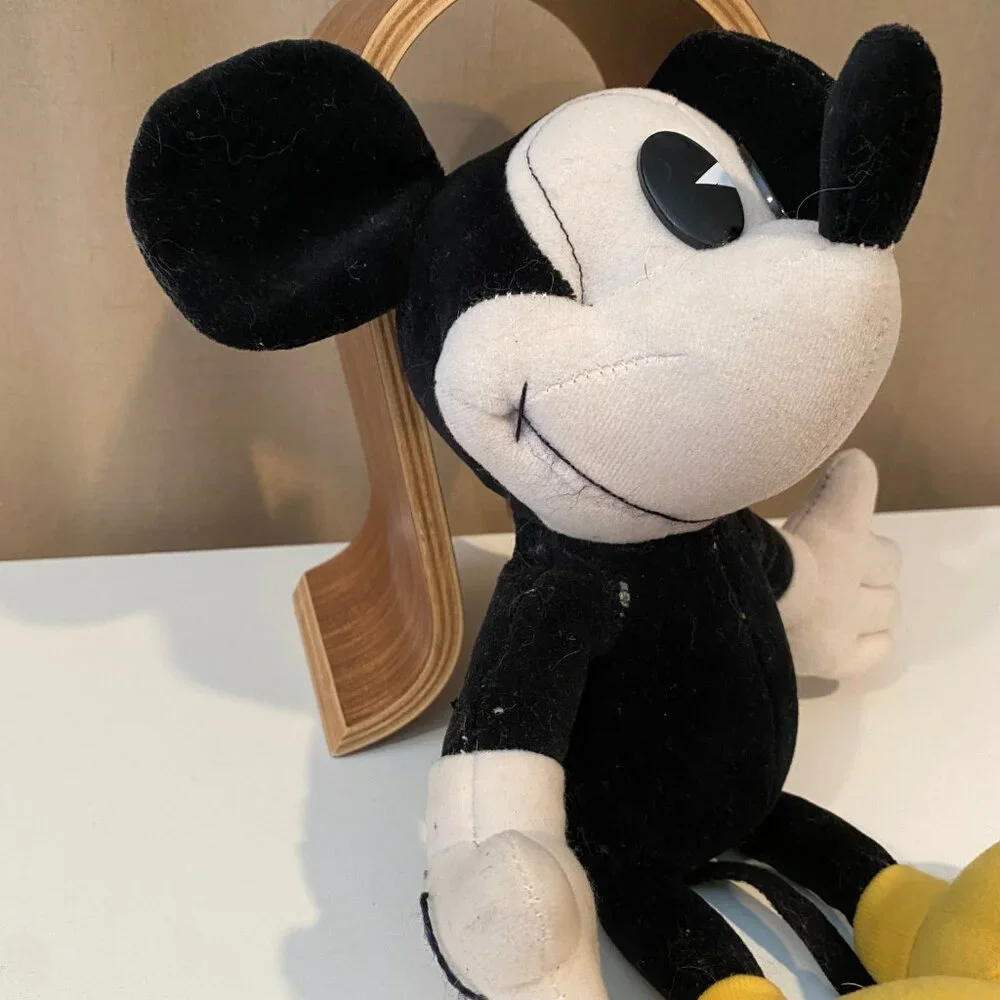 Disney bring home